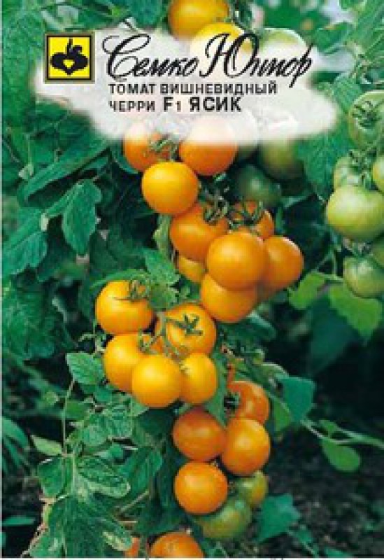 Томат Семко Отзывы Фото
