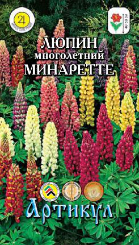 Люпин Минаретте