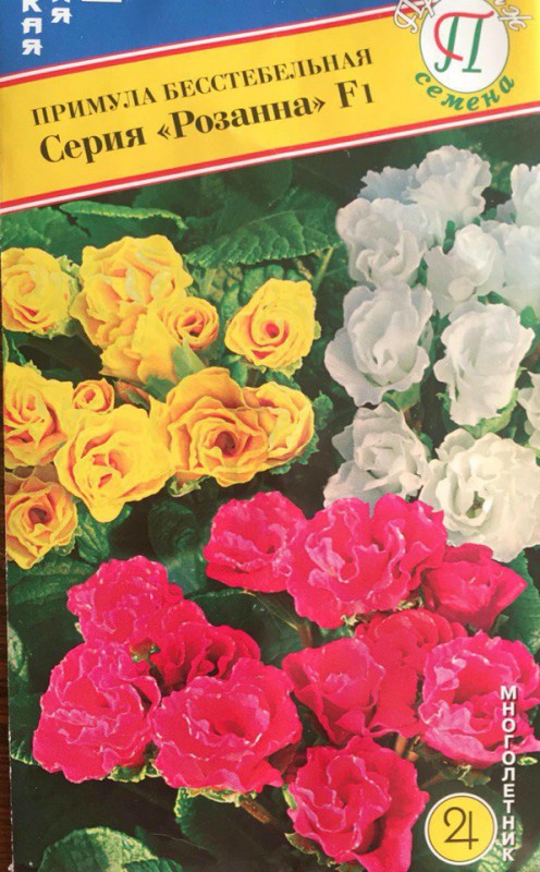 Примула "Розанна" F1